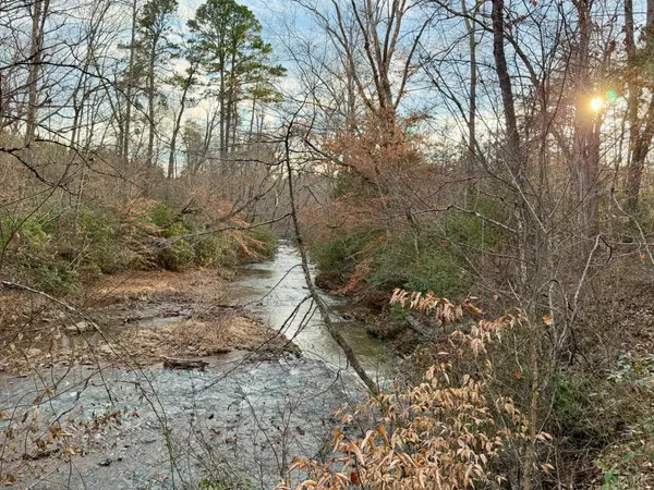 0 East Ferry Rd, Gladys, VA 24554