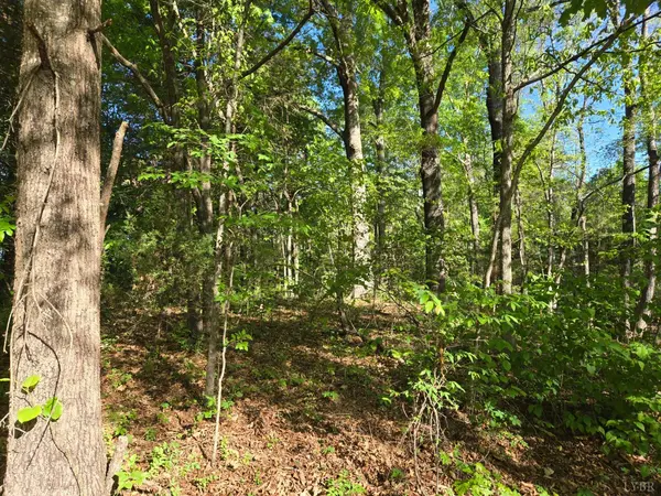 0 Hudson ST, Farmville, VA 23901
