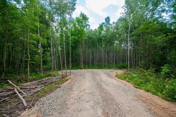 249 HILLS SIDING RD, Callander, ON P0K 1H0