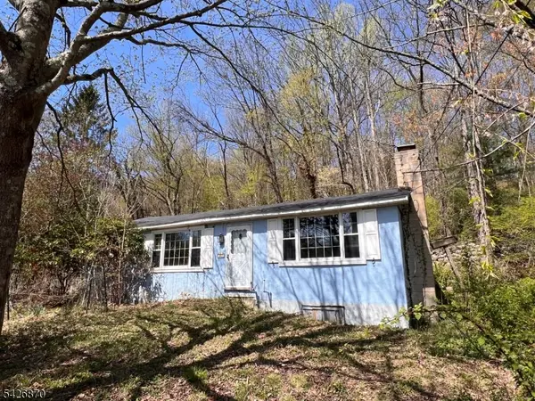 900 Primrose Path, Stillwater Twp., NJ 07860