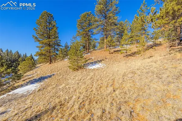 772 E Bison Creek TRL, Florissant, CO 80816