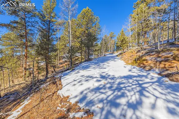 772 E Bison Creek TRL, Florissant, CO 80816