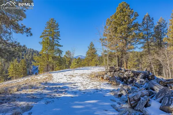 772 E Bison Creek TRL, Florissant, CO 80816
