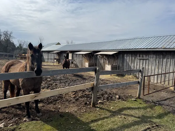 21237 Concession 6 RD, South Glengarry, ON K0C 1Z0