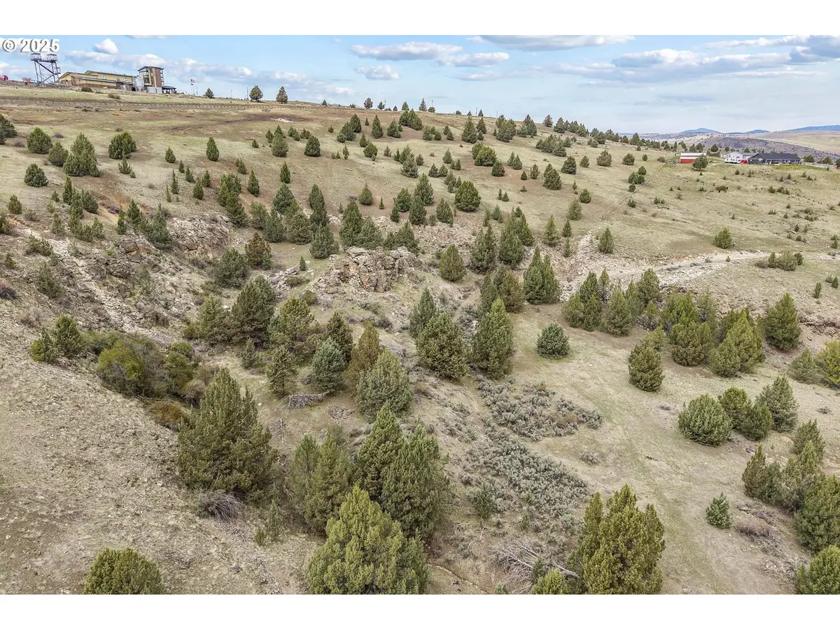 0 Blue Gulch RD, Canyon City, OR 97820