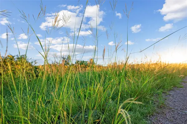 Nueces River Ranch Hwy 55, Uvalde, TX 78801