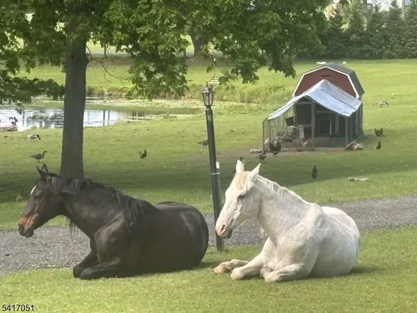 32 Millville Road, Montague Twp., NJ 07827