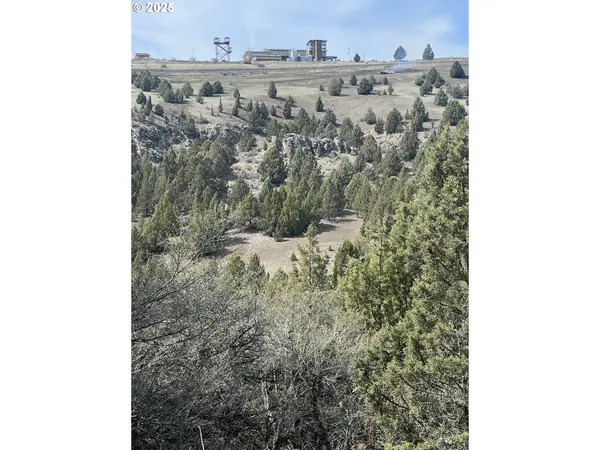 0 Blue Gulch RD, Canyon City, OR 97820