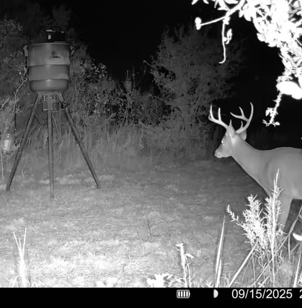 13762 SW FM 639, Barry, TX 75102