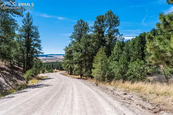 22555 County Road 49, Elbert, CO 80106