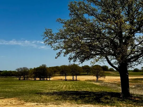 141 Woodbridge Boulevard, Bowie, TX 76230