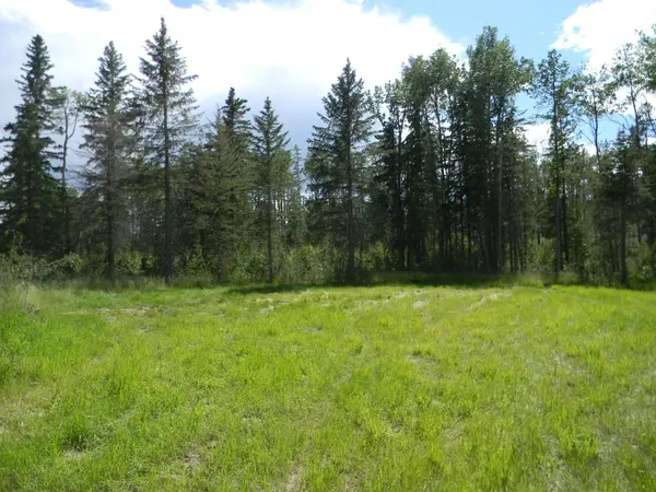 115 Meadow Ponds DR, Rural Clearwater County, AB T4T 1A7
