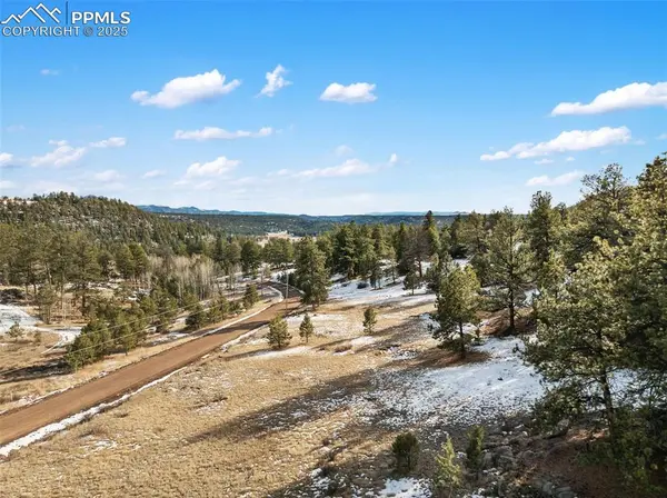 527 Plateau DR, Guffey, CO 80820