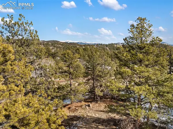 527 Plateau DR, Guffey, CO 80820