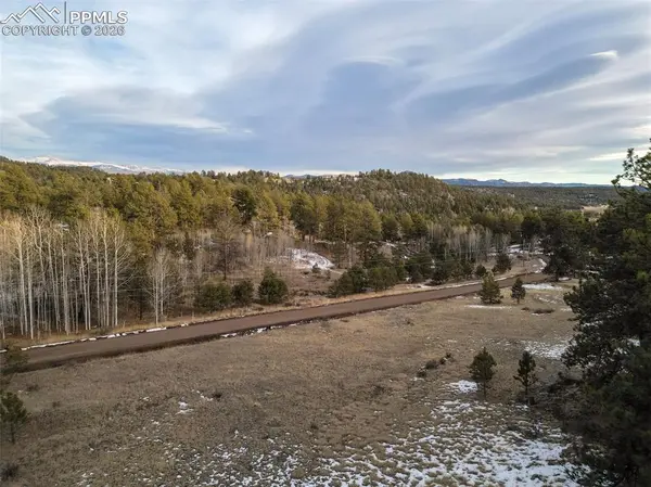 527 Plateau DR, Guffey, CO 80820