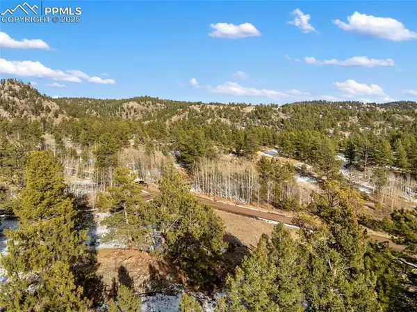 527 Plateau DR, Guffey, CO 80820