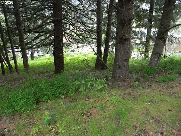 Sophie LN, Carson, WA 98610