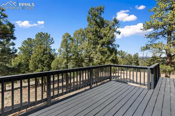 18 Mt Powderhorn LN, Florissant, CO 80816