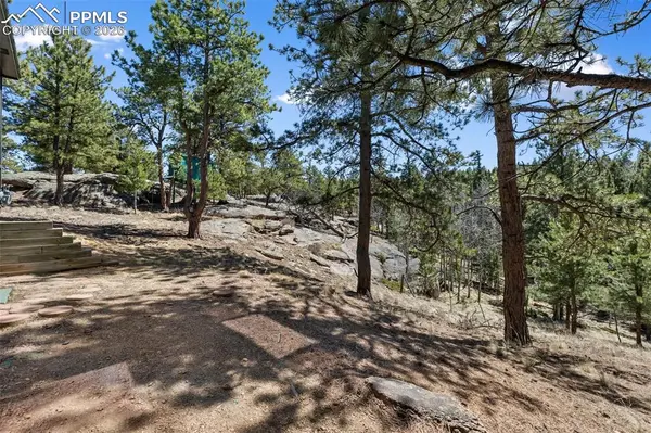 18 Mt Powderhorn LN, Florissant, CO 80816