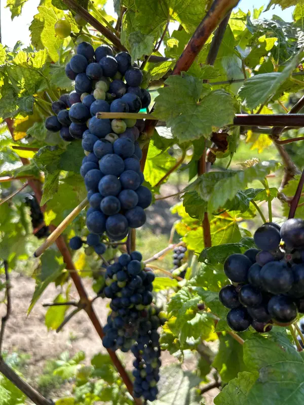 3775 Ganaraska RD, Clarington, ON L0B 1M0