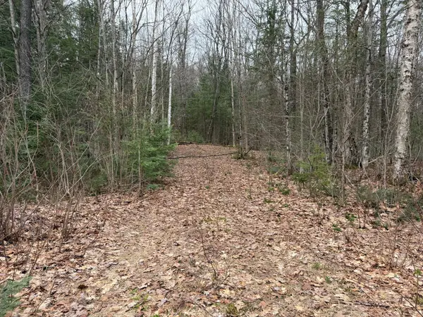 0 Stoney RD, Burk's Falls, ON P0A 1C0