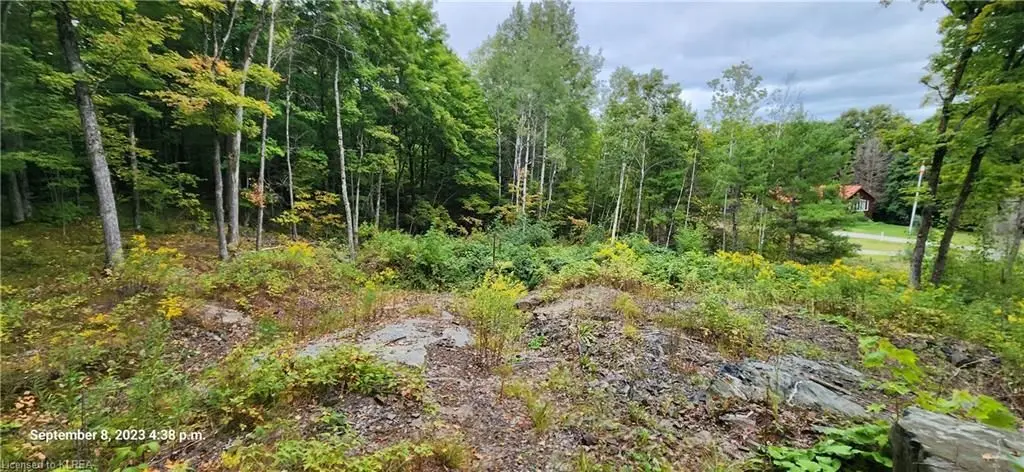 169 Northern AVE, Trent Lakes, ON K0M 1A0