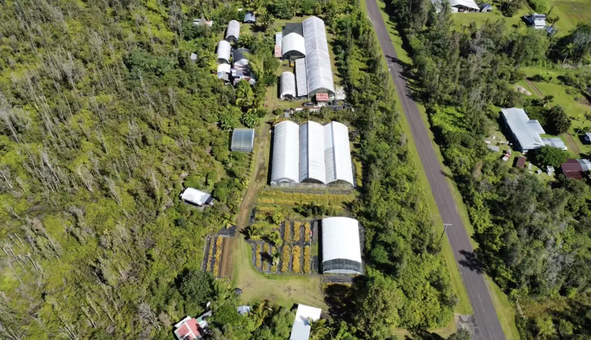 15-1300 AUINA ST, Pahoa, HI 96778