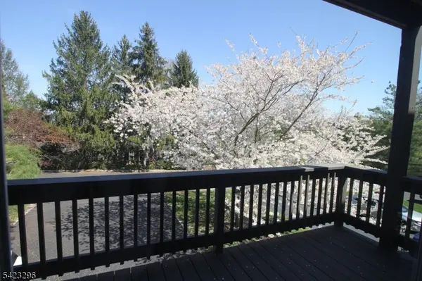 37 Melrose, Montgomery Twp., NJ 08540