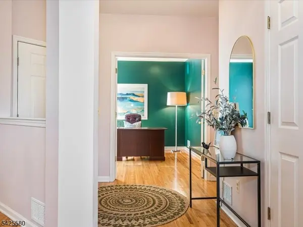 17 Pacio Ct, Roseland Boro, NJ 07068