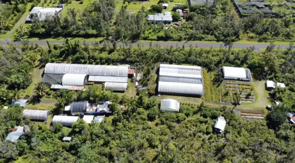 15-1300 AUINA ST, Pahoa, HI 96778