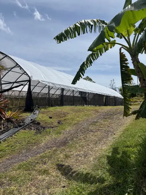 15-1300 AUINA ST, Pahoa, HI 96778