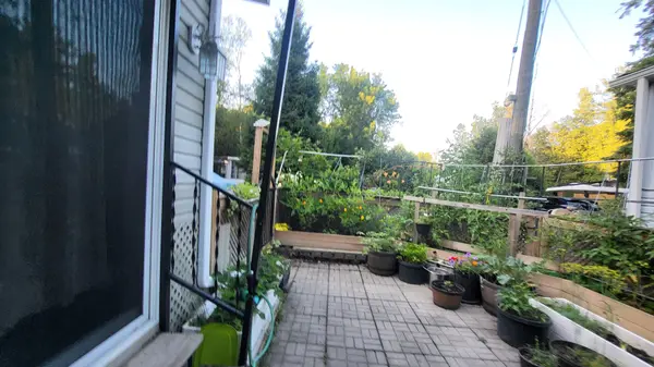 24 Chickadee CT, Georgina, ON L0E 1N0