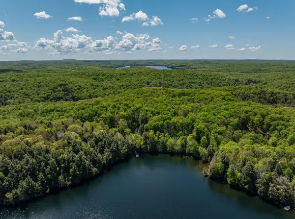 1145 Mink RD, Dysart Et Al, ON K0M 1S0