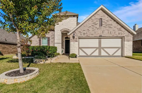1124 Diamond Dove Drive, Little Elm, TX 75068