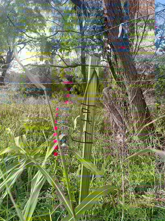 Lot4 Rock Creek Road, Possum Kingdom Lake, TX 76449