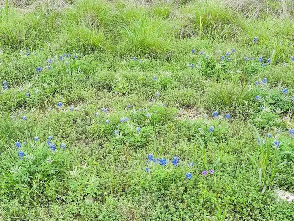 8504 Dornoch Street, Cleburne, TX 76033