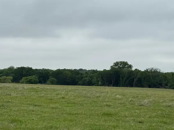 599 Lone Star, Poolville, TX 76487