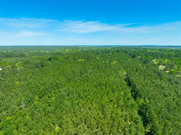 6679 W State Hwy 294, Palestine, TX 75801