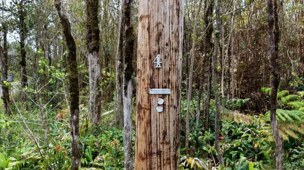 11-3046-A ANUHEA ST, Volcano, HI 96785