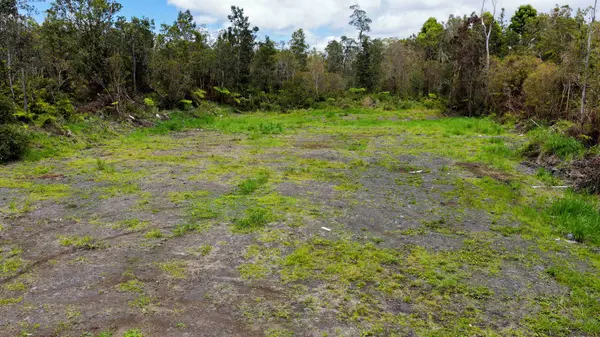 11-3046-A ANUHEA ST, Volcano, HI 96785