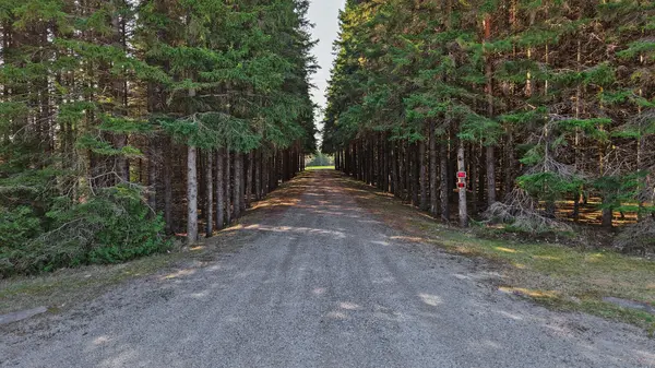 3580 McKee RD, Scugog, ON L0B 1B0