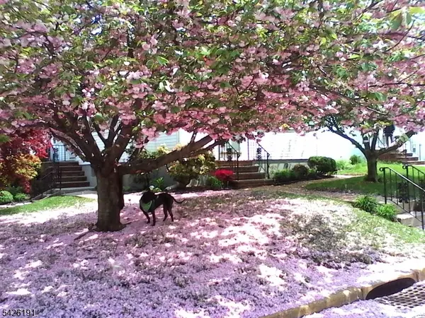 305 Woodlawn Ave, Linden City, NJ 07036