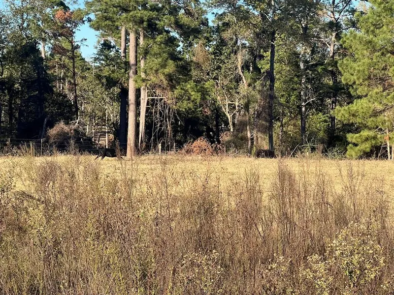 tbd Pr 1315, Centerville, TX 75833