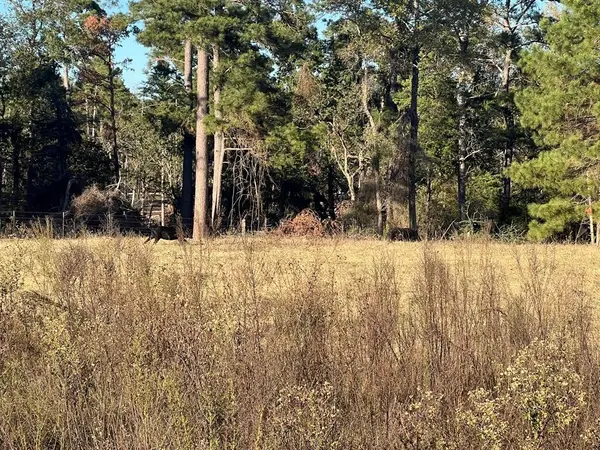 tbd Pr 1315, Centerville, TX 75833