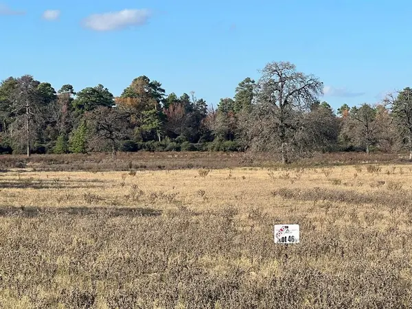 tbd Pr 1315, Centerville, TX 75833