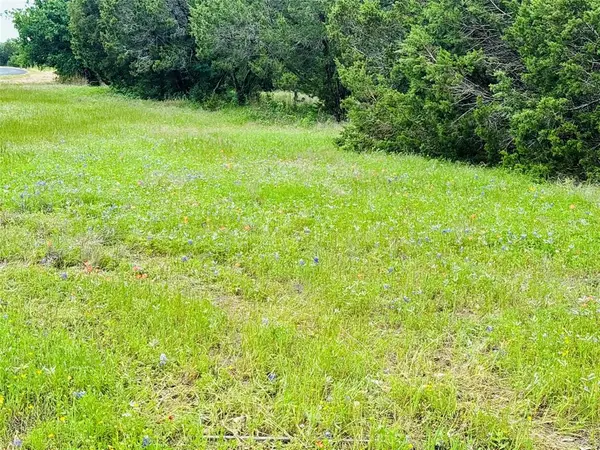 8356 Bruntsfield Loop Drive, Cleburne, TX 76033