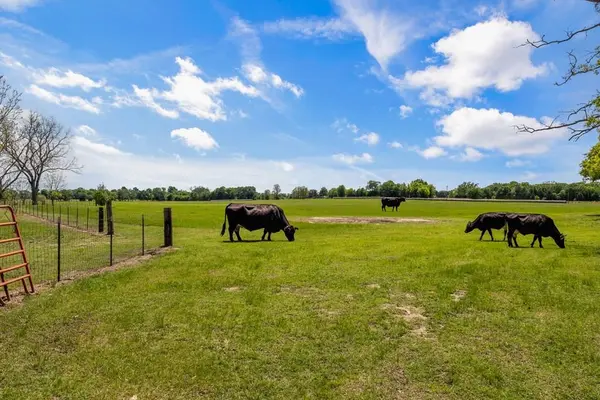 00 Vz County Road 3208, Wills Point, TX 75169