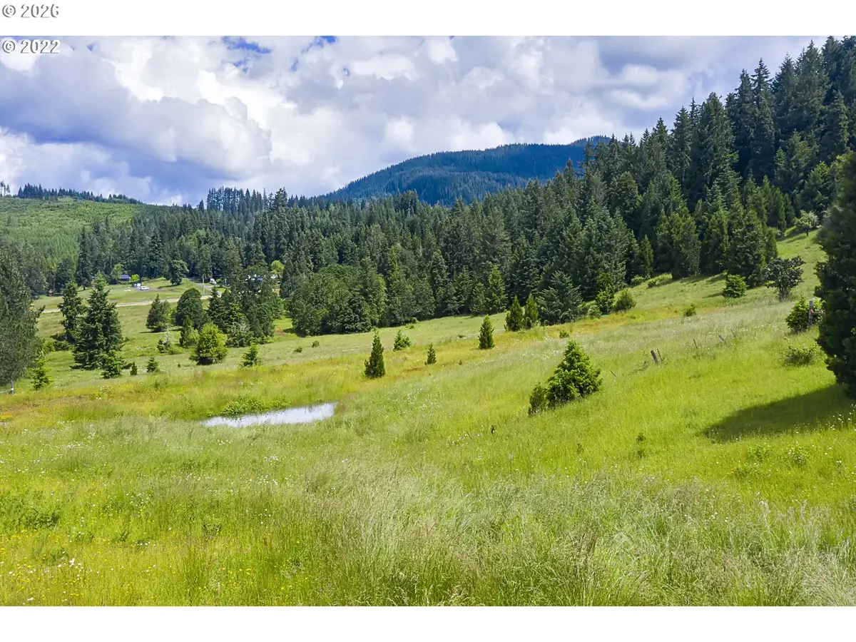 Bugle LOOP #TL 1306, Oakridge, OR 97463