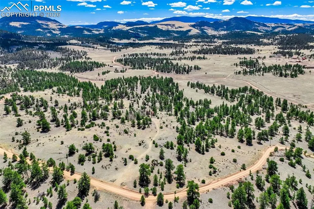 422 Buck DR, Guffey, CO 80820