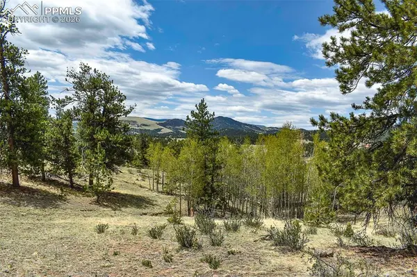 422 Buck DR, Guffey, CO 80820